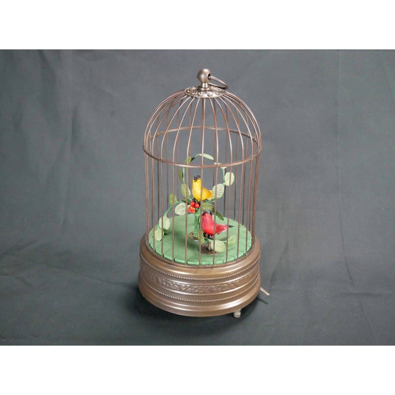 Bird Cage 107
